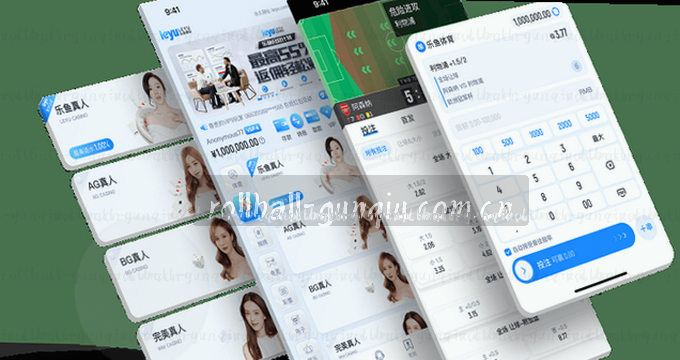 APP访问图片快速加载